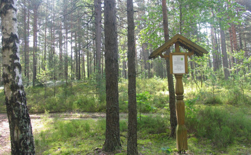 14_Didžiulių pilkapynas.jpg